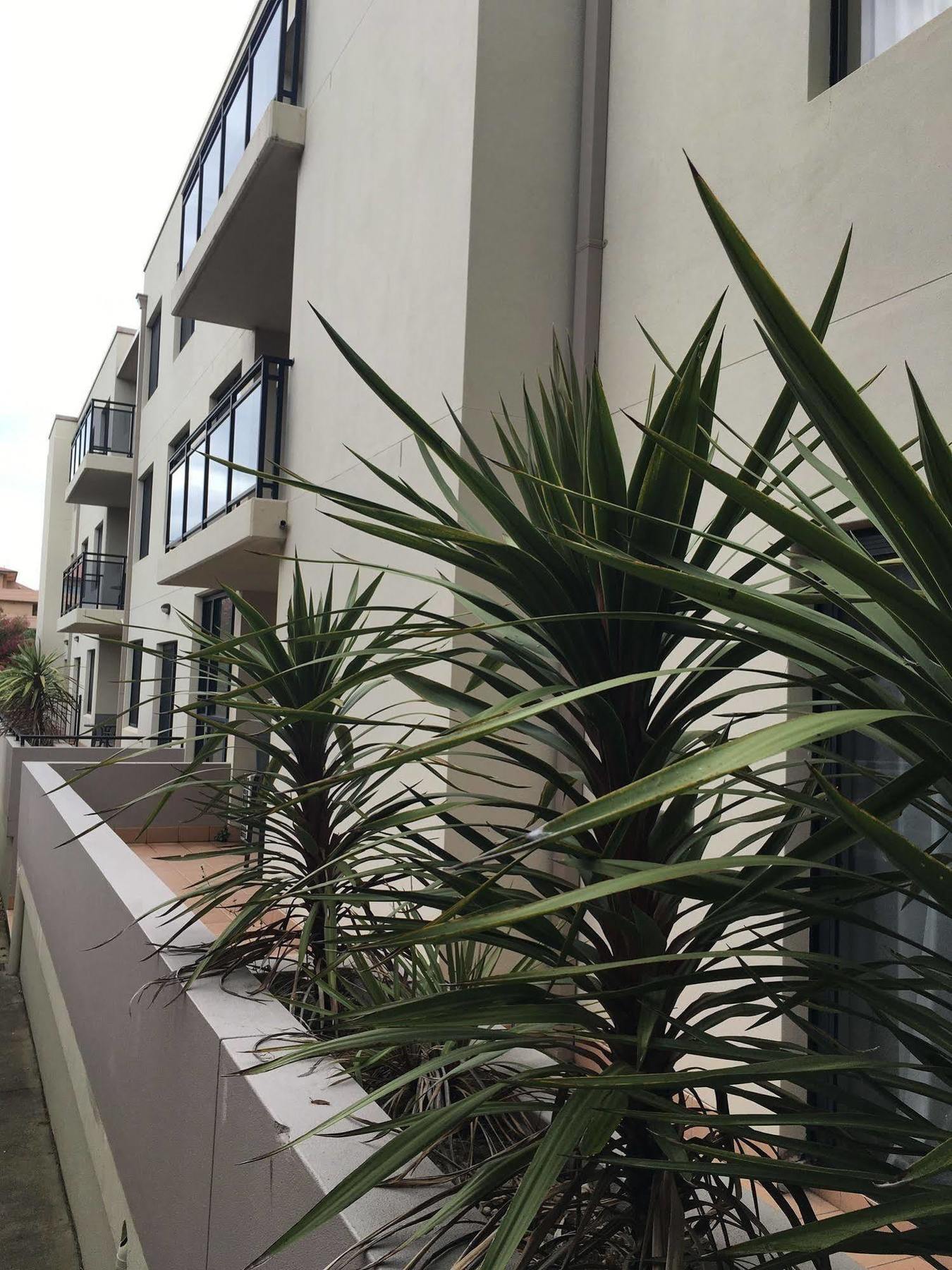 Wollongong Serviced Apartments Zewnętrze zdjęcie